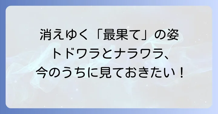 消えゆく絶景「トドワラ」と「ナラワラ」の現状