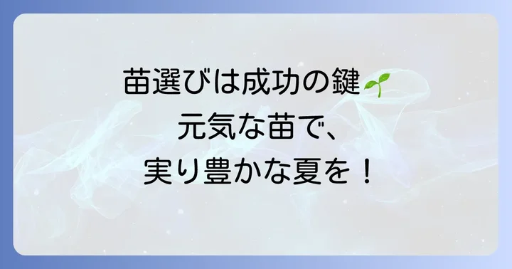 クコの木を育てる準備：苗選びと植え付け