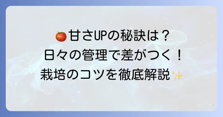 甘いあまたんトマトを育てる！日々の管理と栽培のコツ