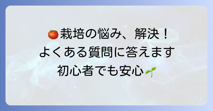 初心者でも安心！あまたんトマト栽培でよくある質問