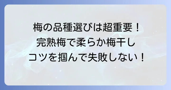 とろける柔らかさを実現する梅干し作りのコツ
