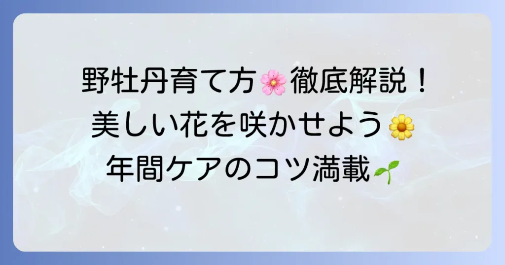 野牡丹の育て方:徹底解説!美しい花を咲かせるコツと年間ケア