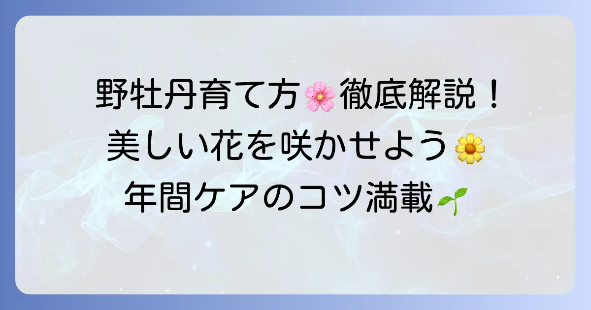 野牡丹の育て方:徹底解説!美しい花を咲かせるコツと年間ケア