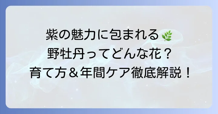 野牡丹とは?その魅力と基本情報