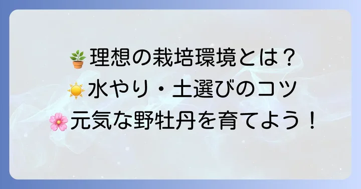 野牡丹の栽培環境を整える