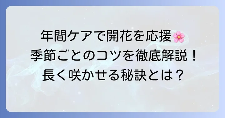 野牡丹を元気に育てる年間ケア