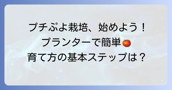 プチぷよ育て方プランター栽培の基本ステップ