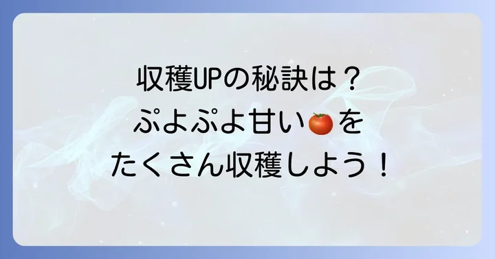プチぷよ育て方プランター栽培で収穫を増やすコツ