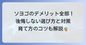 ソヨゴのデメリットを徹底解説！後悔しないための注意点と対策