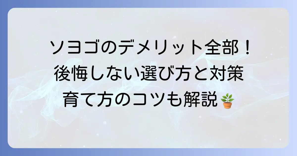 ソヨゴのデメリットを徹底解説！後悔しないための注意点と対策