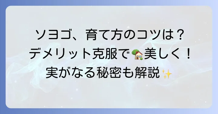 ソヨゴのデメリットを乗り越えるための対策と育て方のコツ