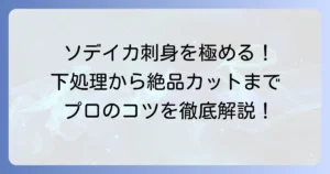 ソデイカの刺身の切り方徹底解説！下処理と鮮度を保ち美味しく楽しむコツ