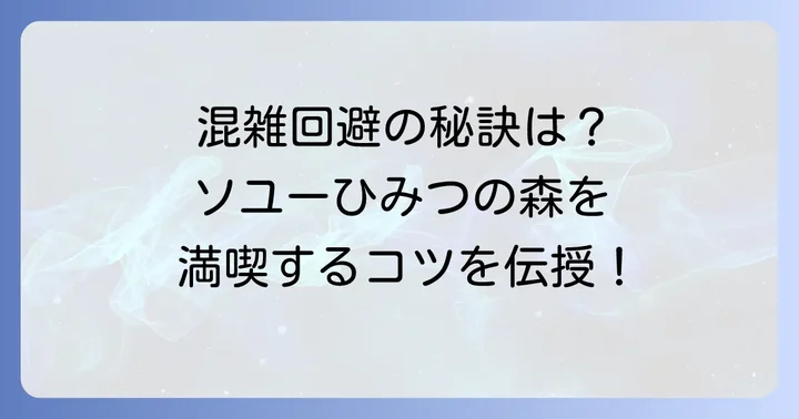 ソユーひみつの森川口の混雑状況と利用のコツ