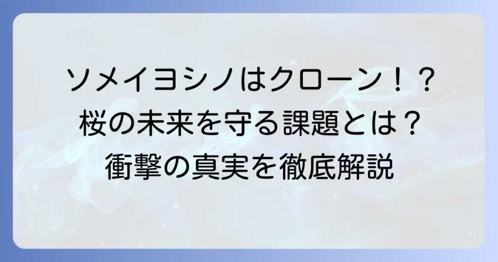 ソメイヨシノクローンには限界がある？桜の未来を守るための課題と対策