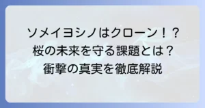 ソメイヨシノクローンには限界がある？桜の未来を守るための課題と対策