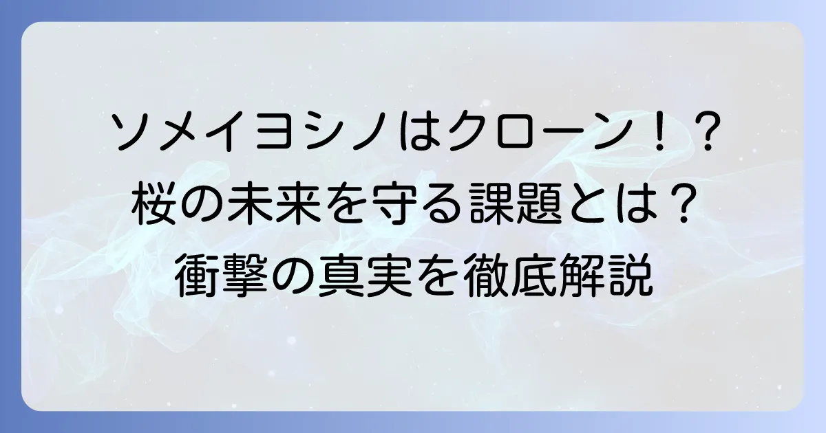 ソメイヨシノクローンには限界がある？桜の未来を守るための課題と対策