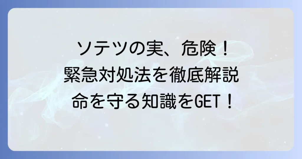 ソテツの実を食べてしまった時の危険性と緊急対処法を徹底解説