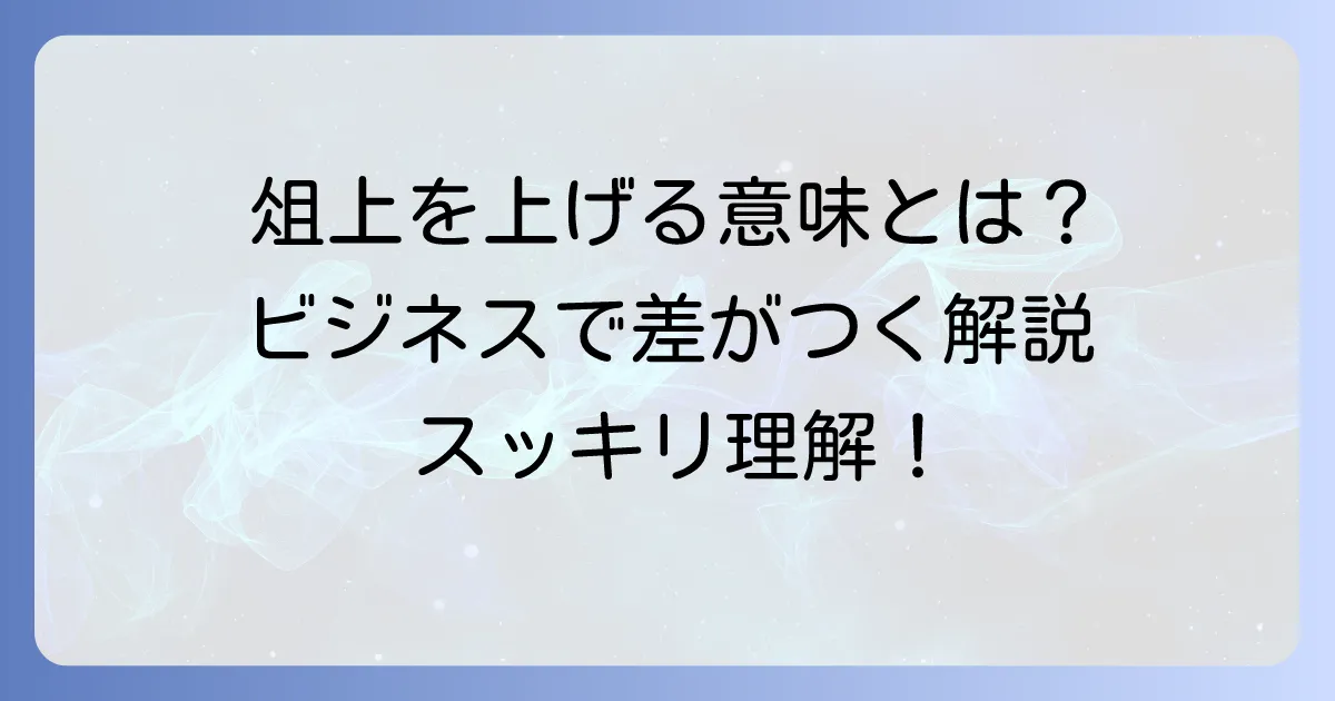 「俎上に挙げる」の意味とビジネスでの正しい使い方を徹底解説