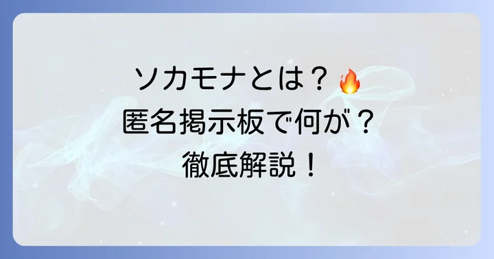 ソカモナが使われる主な場所と議論の内容