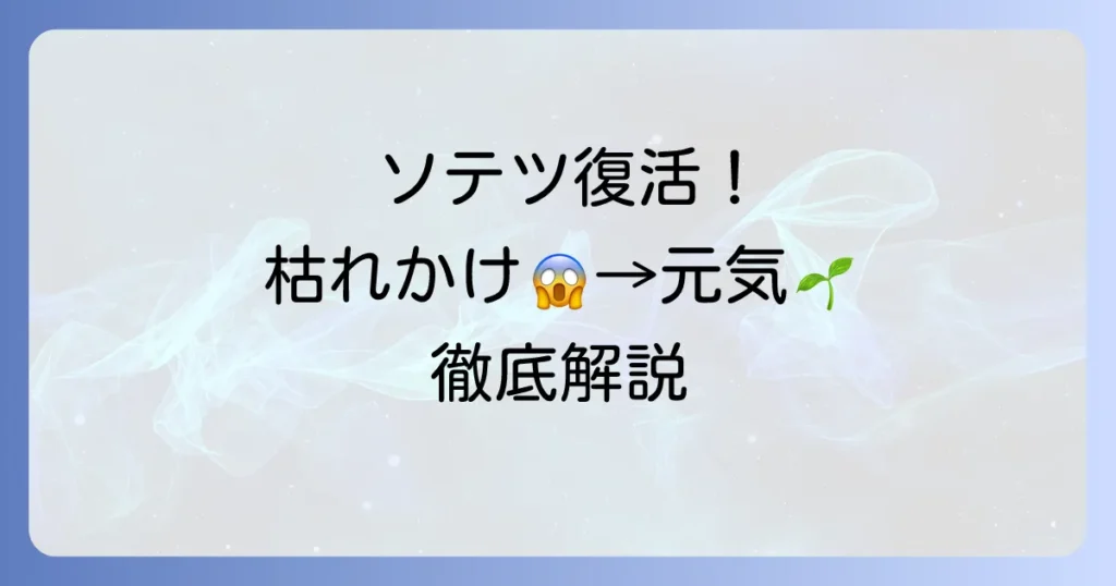ソテツが枯れる復活のコツ！元気がないソテツを救う原因と対処法を徹底解説