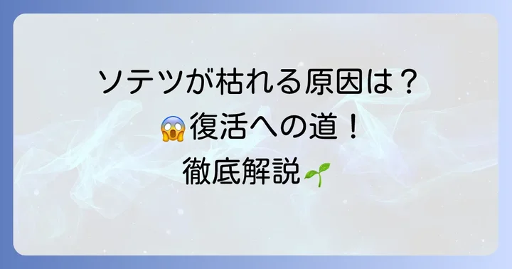 ソテツが枯れる主な原因を徹底解説