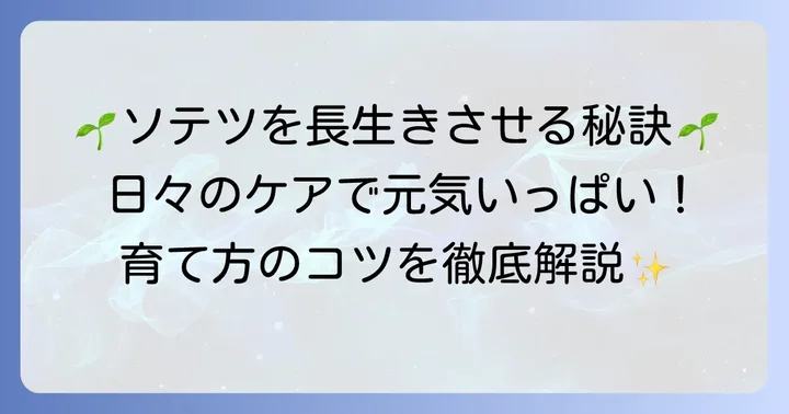 ソテツを健康に育てるための日常管理のコツ