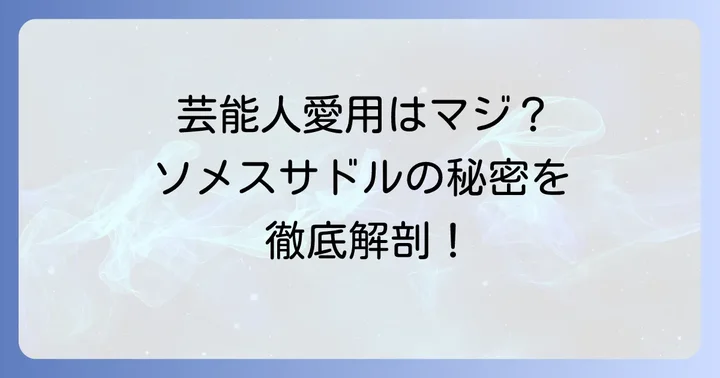 ソメスサドルを愛用する芸能人・有名人とは？