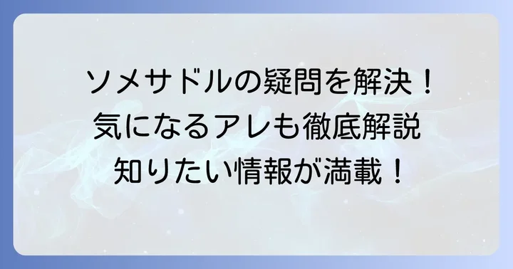 ソメスサドルに関するよくある質問