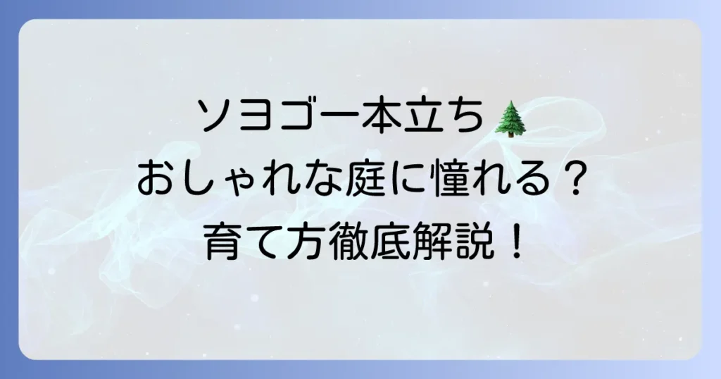 ソヨゴ一本立ちの魅力と育て方：一本立ちのソヨゴの魅力と育て方を徹底解説！おしゃれな庭木の選び方