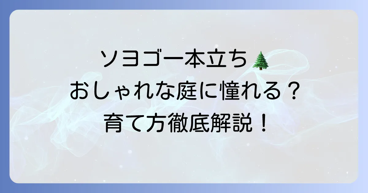ソヨゴ一本立ちの魅力と育て方：一本立ちのソヨゴの魅力と育て方を徹底解説！おしゃれな庭木の選び方