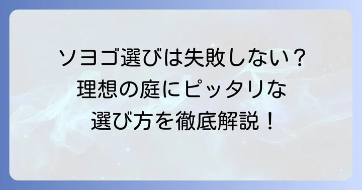理想の庭を叶えるソヨゴ一本立ちの選び方
