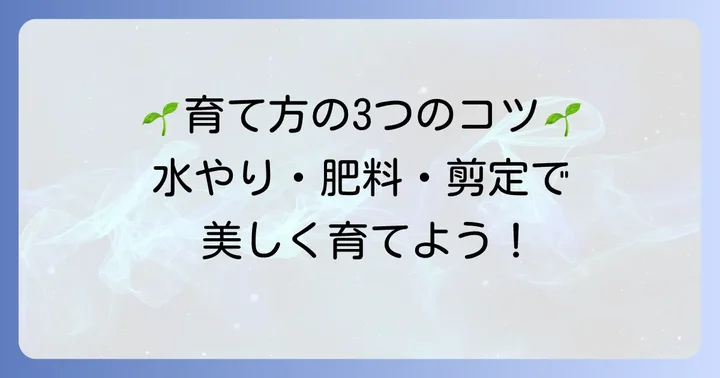 ソヨゴ一本立ちの基本的な育て方と日々の管理