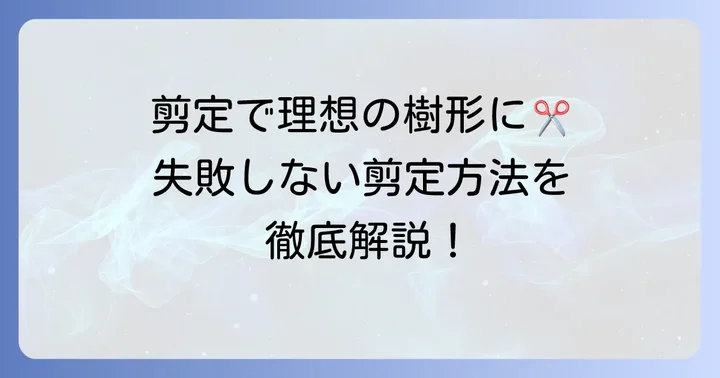美しい樹形を保つソヨゴ一本立ちの剪定方法
