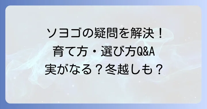 ソヨゴ一本立ちに関するよくある質問