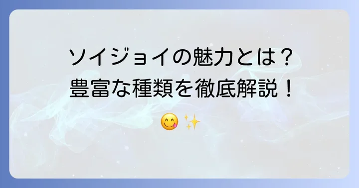 ソイジョイの魅力と豊富な種類