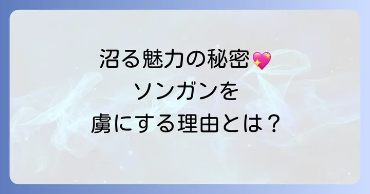 ソンガンの魅力の秘密！なぜ多くのファンを惹きつけるのか