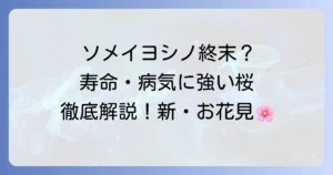 ソメイヨシノに代わる桜品種を徹底解説：寿命や病気に強い多様な桜の魅力