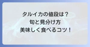 タルイカの値段相場は？旬の時期や購入方法、美味しい食べ方まで徹底解説