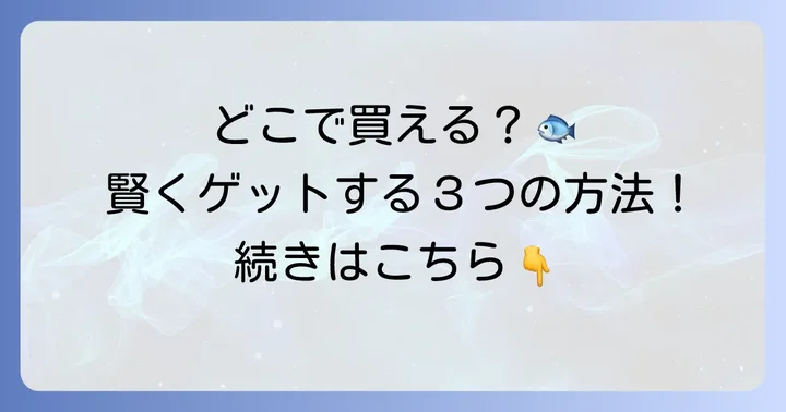 タルイカはどこで買える？購入方法を比較