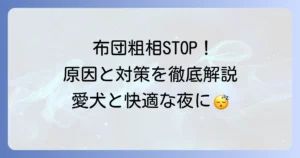 犬が飼い主の布団で粗相をするのを解決！原因と対策、正しい掃除方法を徹底解説