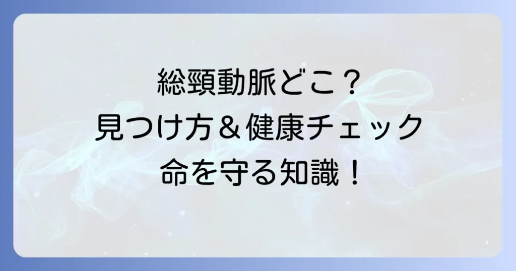 総頸動脈はどこにある？見つけ方と健康チェックの重要性を徹底解説