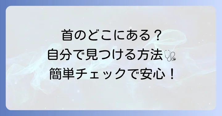 総頸動脈はどこにある？正確な位置と自分で見つける方法