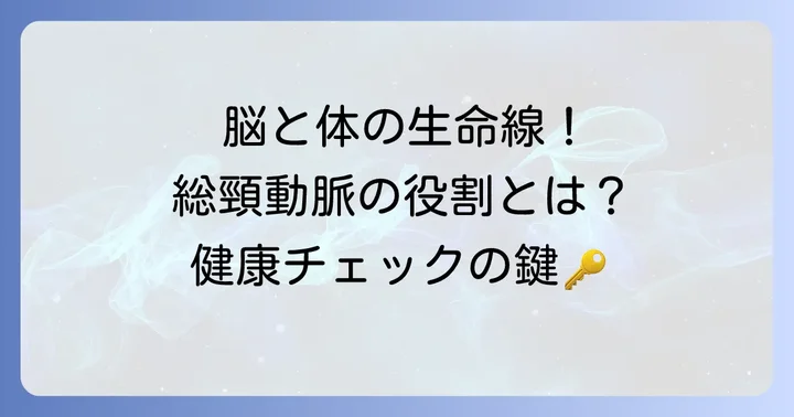 総頸動脈の重要な役割と健康状態を知る手がかり