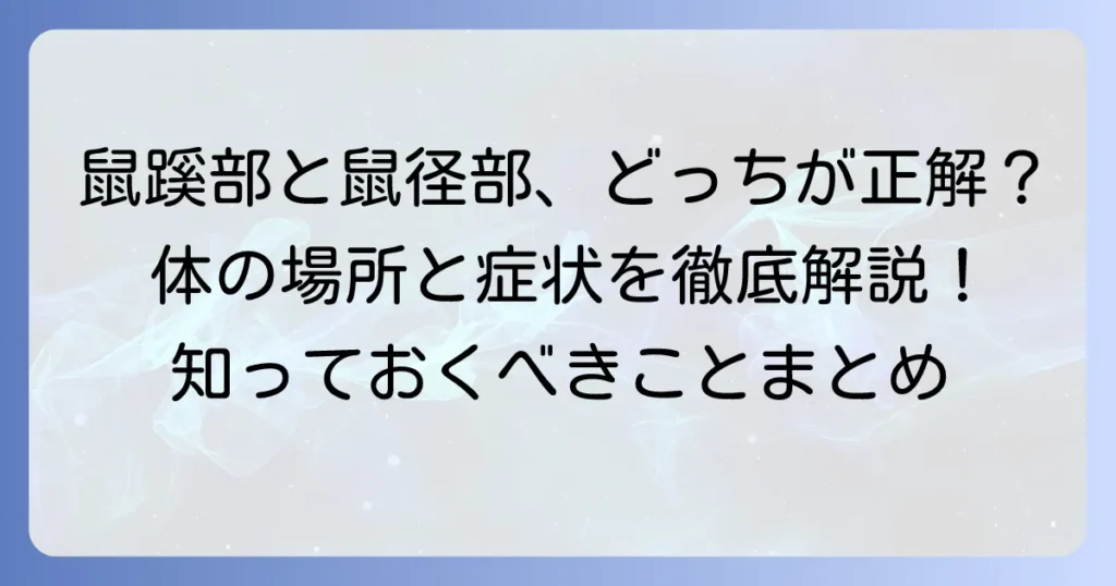 鼠蹊部と鼠径部の違いを徹底解説！正しい表記と体の場所、関連する症状まで