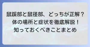鼠蹊部と鼠径部の違いを徹底解説！正しい表記と体の場所、関連する症状まで