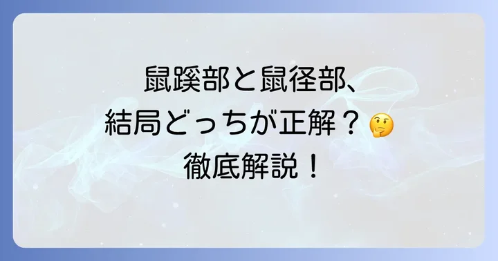 鼠蹊部と鼠径部、どちらが正しい？その違いを徹底解説