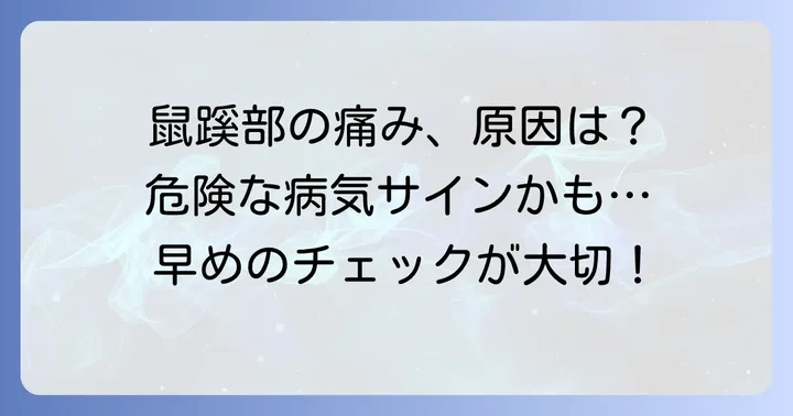 鼠蹊部（鼠径部）に関連する主な症状と病気