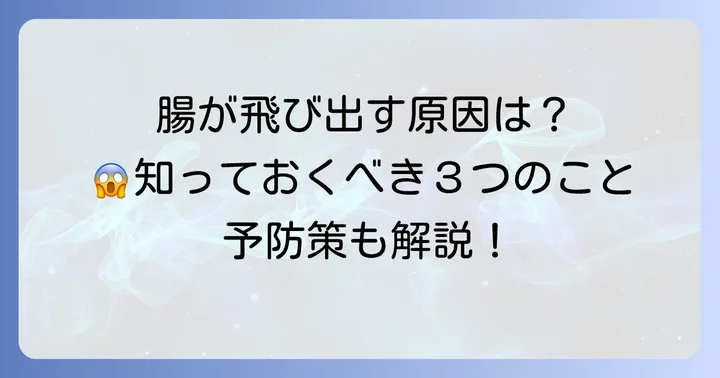 なぜ腸は飛び出すのか？ヘルニアの主な原因