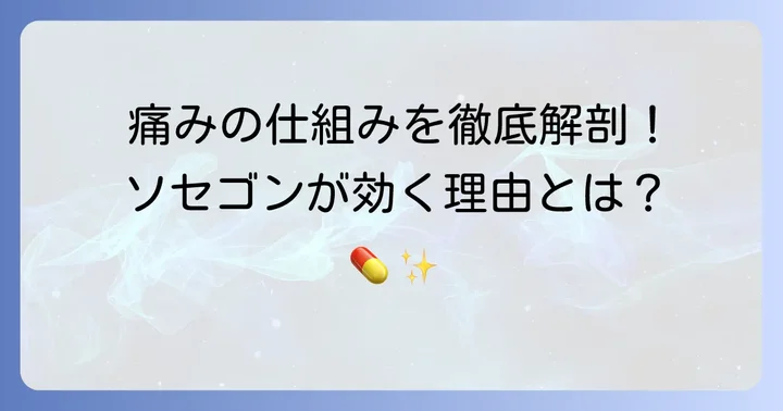 ソセゴンの強力な鎮痛効果と作用の仕組み