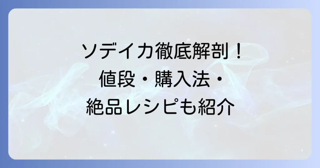 ソデイカの値段相場と購入方法を徹底解説！美味しい食べ方もご紹介
